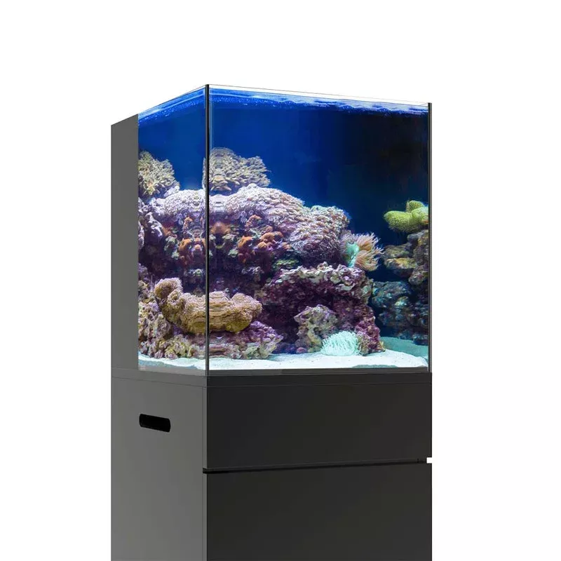 20 Gallon Nano RL Rimless Aquarium (Tank Only) – JBJ