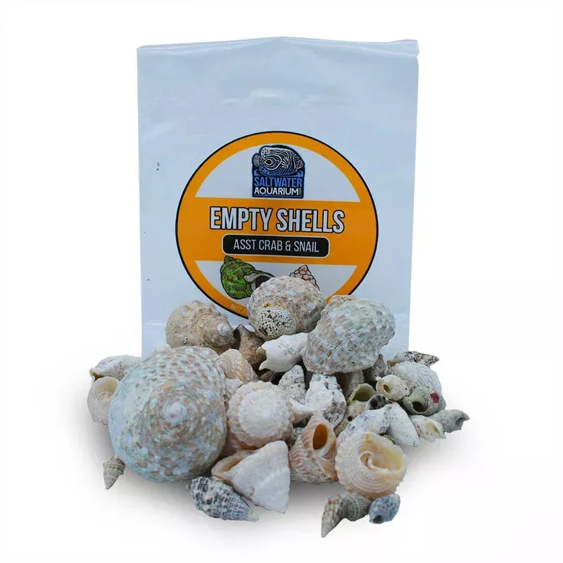 (200) Mixed Size & Shape Sterilized Aquarium Safe Empty Shells