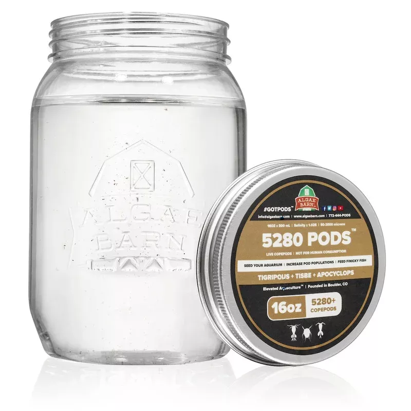 5280 Pods 5280+ (16 oz) Live Three Species Copepods Mix (Tig, Tisbee & Apo) – Algae Barn