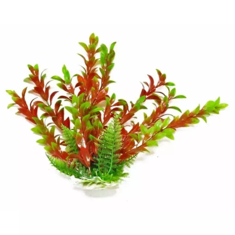 Aquatop Plant Hygrophila Green/Red 6