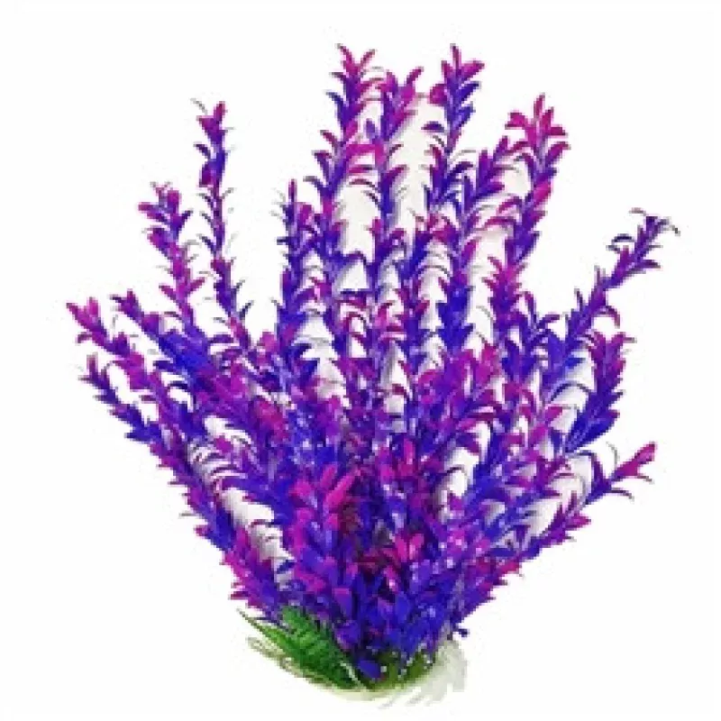 Aquatop Plant Hygrophila Pink/Purple 20