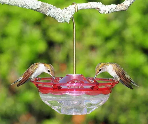 Aspects HummBlossom 4oz Rose Hummingbird Feeder