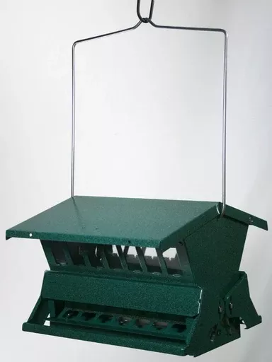 Audubon 23802 Heritage Farms Absolute II Double Sided Squirrel-Proof Feeder
