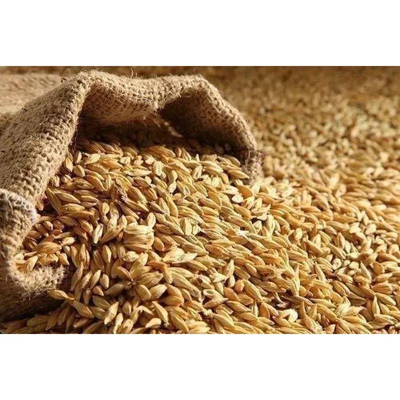 Barley Whole Clipped 50kg (Valemount)
