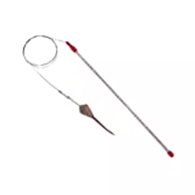 Cat Catcher Teaser Wand Cat Toy