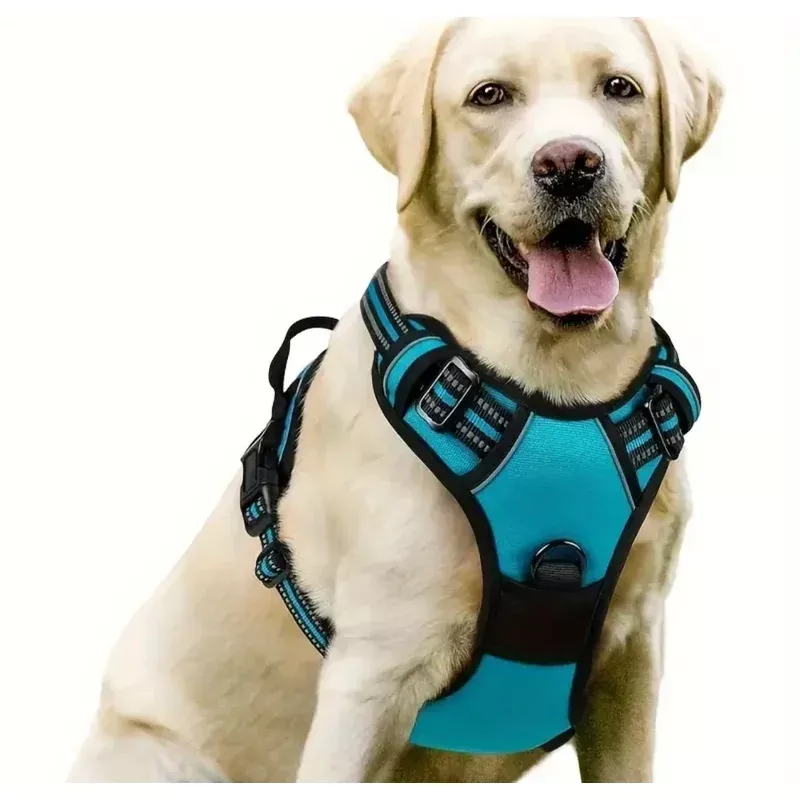 dog harness extra large dogs