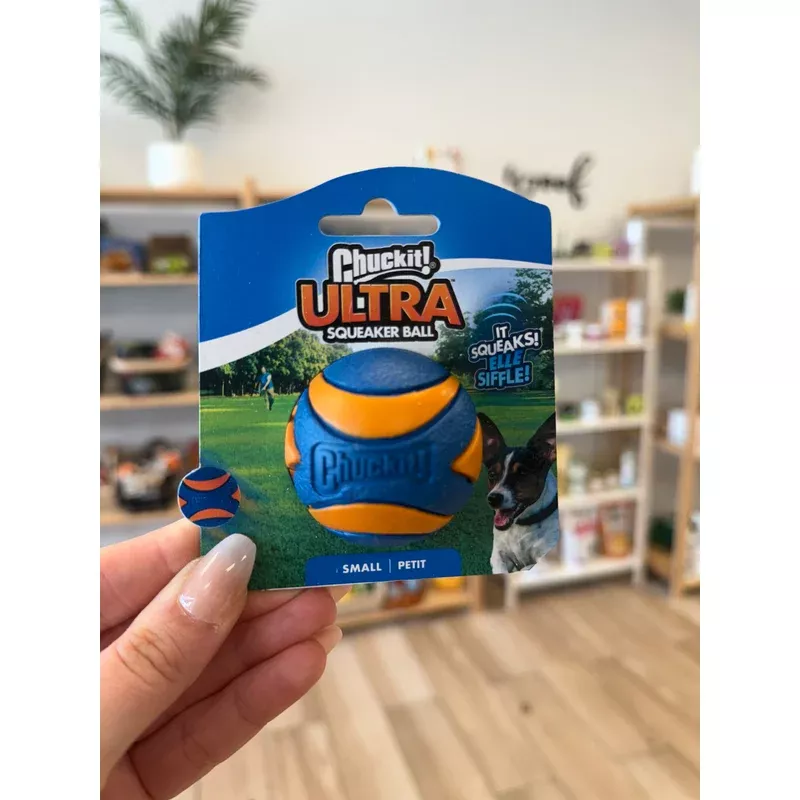 Dog Toy: Chuckit! – Ultra Squeaker Ball (Small)