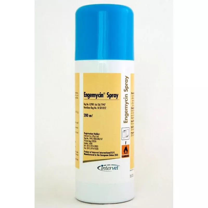 Engemycin 200Ml