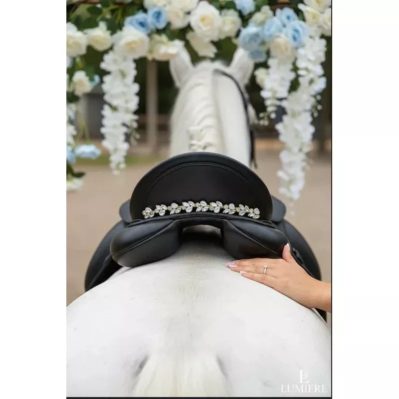 Equos Imperi Water fairy Browband Combo