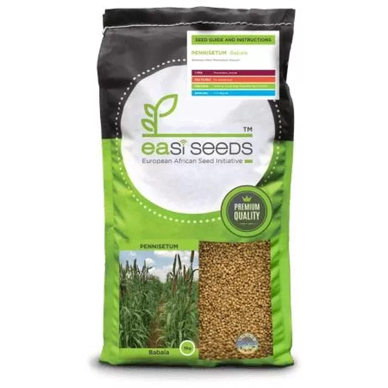 ES – PENNISETUM BABALA 1KG