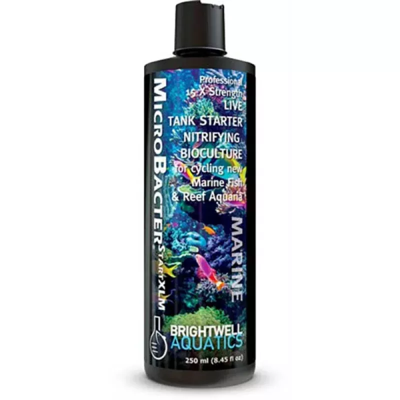 (EXPIRED 4/26) MicroBacter START XLM 15x (500 ML – 16 oz) – Brightwell