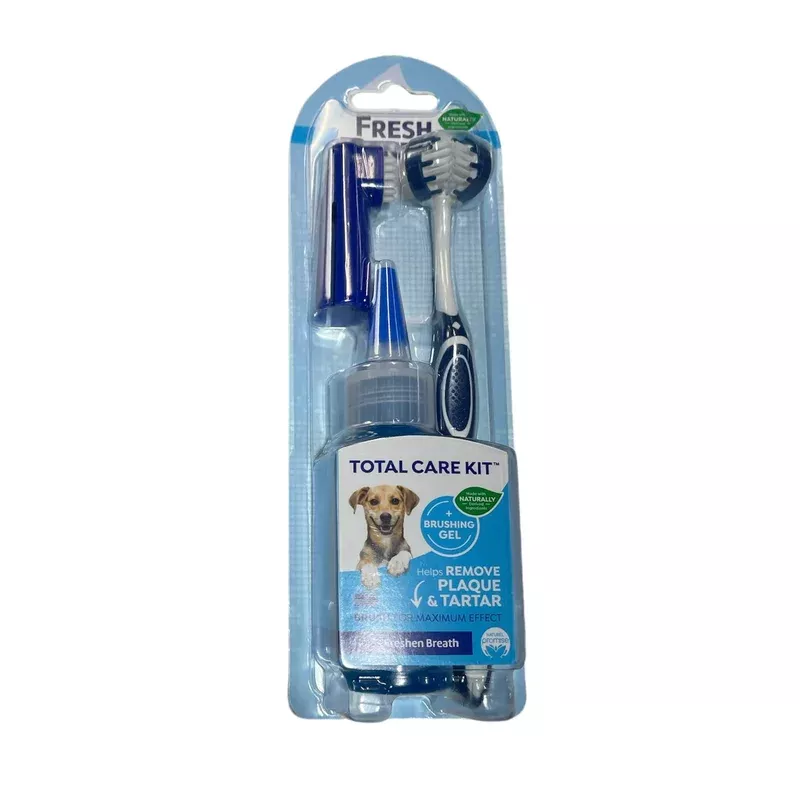 fresh dental brushing gel