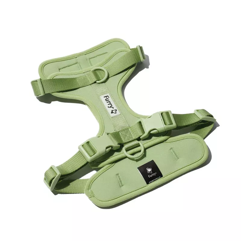 Furry & Co Bold Harness for Dogs (Matcha Latte)