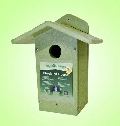 Green Solutions Bluebird House