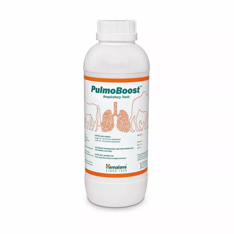 Himalaya Pulmoboost