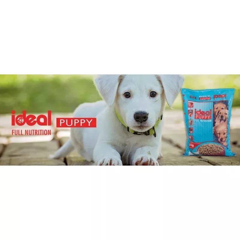 Ideal Dog Puppy 8kg