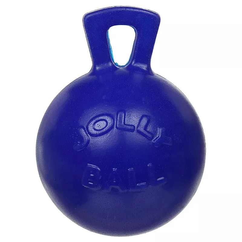 Jolly Pet Mini Tug n Toss Interactive Dog Toy