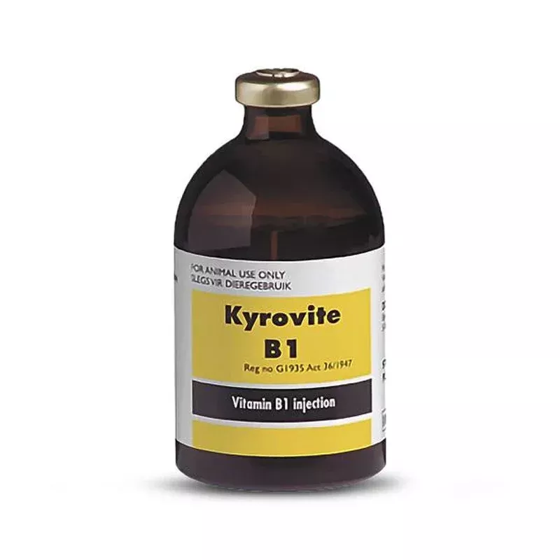 KYROVITE B1 INJ 100ML