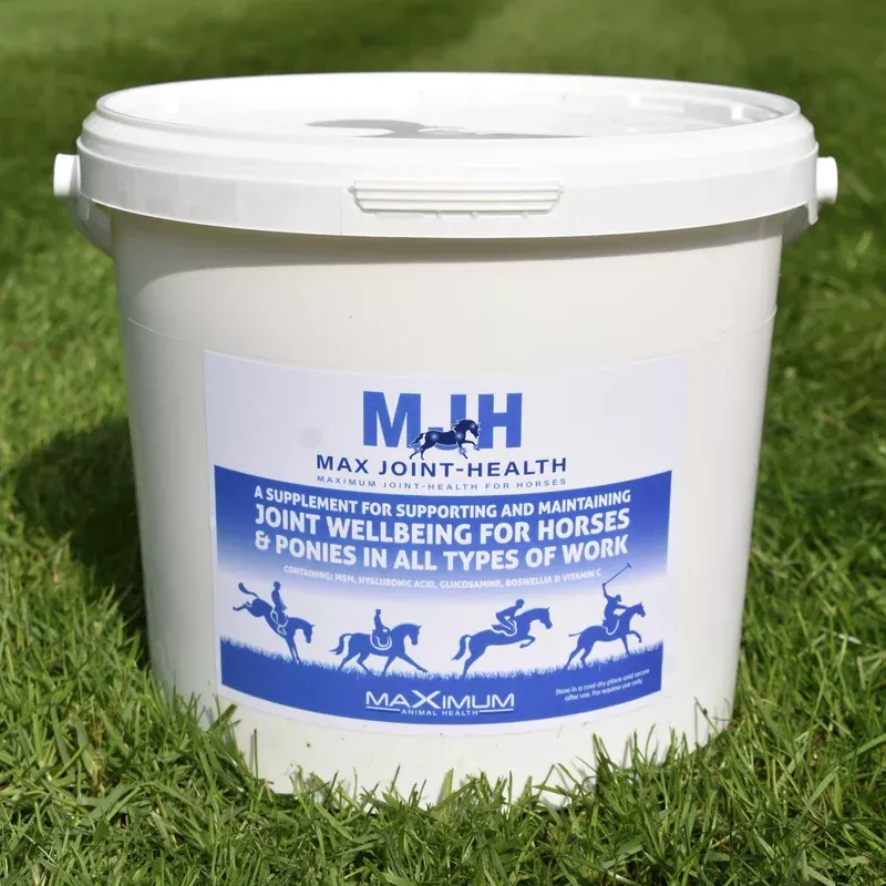 MAX GUT-HEALTH JOINT 3KG