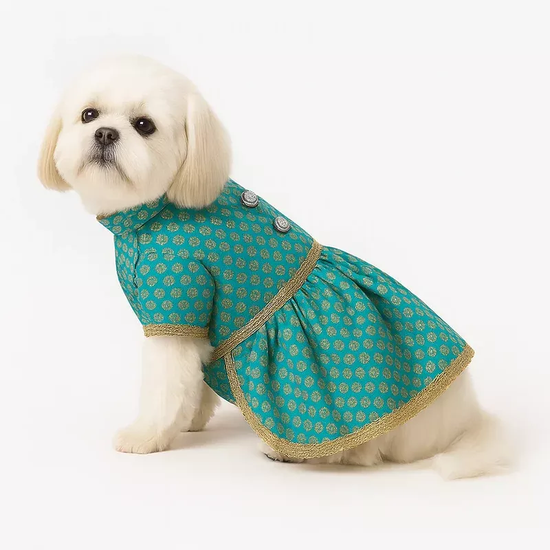 Pawsindia Traditional Royal Brocade Dress for Dogs (Aqua Green)