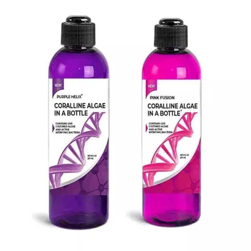 Pink Fusion & Purple Helix Combo Kit – Coralline Algae in a Bottle (2x 8 oz) – ARCReef