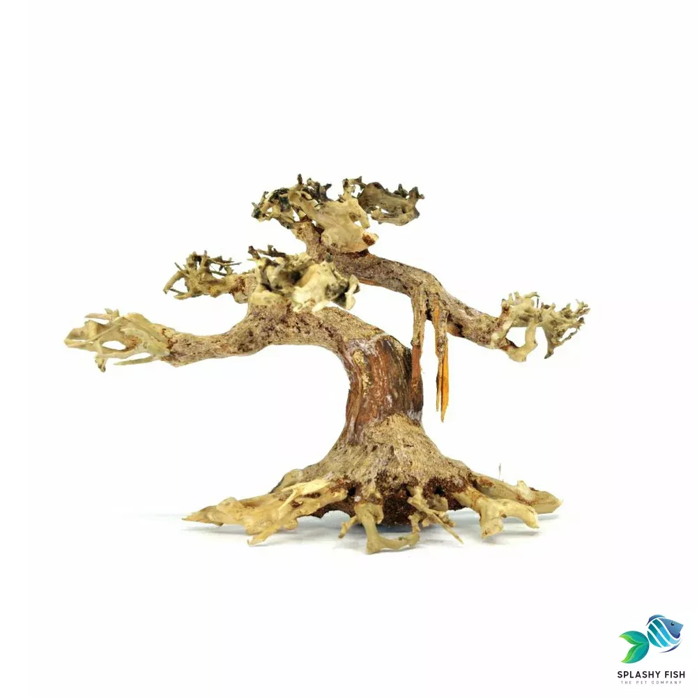 Small Jungle Bonsai Driftwood Tree M550