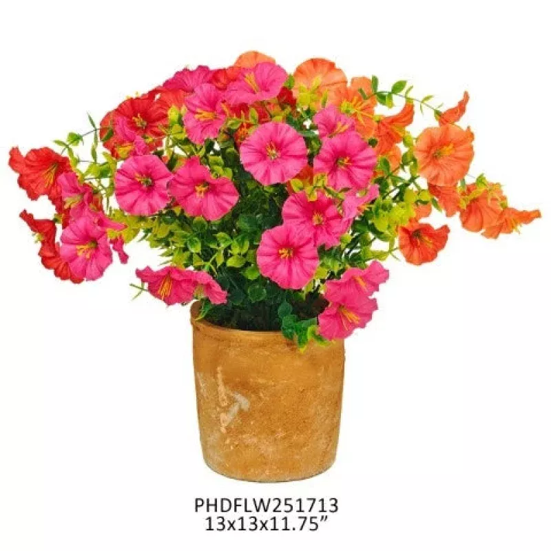 Small Potted Southern Summer Petunia