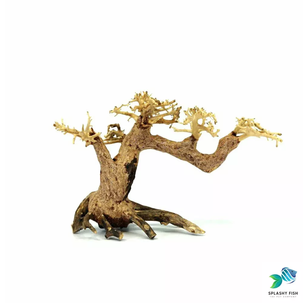 Small Wind Swept Bonsai Driftwood Tree M500
