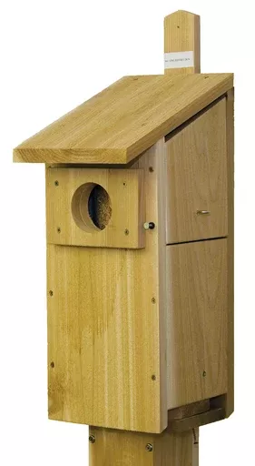 Stovall Products Screech Owl/Kestrel Box