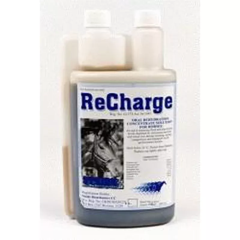 Stride Re- Charge 1L