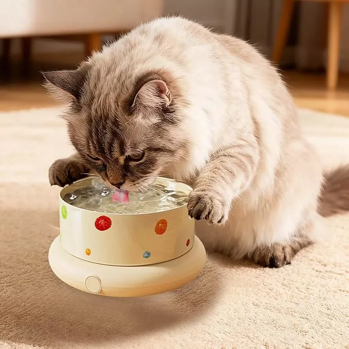 Temperature Control Heated Dog Bowl, Large Automatic Thermal Pet Food & Water Dish Heater for Winter, Safe for Cat Dorm Apartment Living Room Balcony Porch (M)
